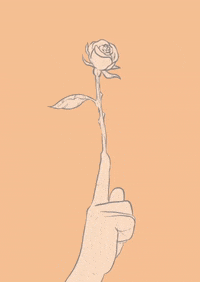 Cucksillustrations flower digital rose ink GIF