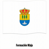 Bandera Malaga GIF by Formación Ninja