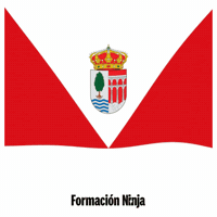 Flag Spain GIF by Formación Ninja