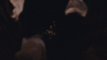 fkatwigs fka twigs cellophane GIF