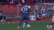 ligue 1 soccer GIF by Toulouse Football Club