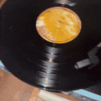 Record Player Analog GIF by carla grace