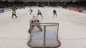Ice Hockey Goalie GIF by Cardiff Fire