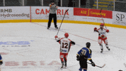 Ice Hockey Nihl GIF by Cardiff Fire