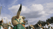 College Football GIF by USF Athletics
