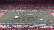 Sesame Street Cookie GIF by tbdbitl