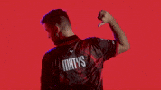 London Esports GIF by BLAST
