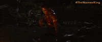 The Woman King GIF by Sony Pictures