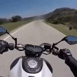 32467263654754 giphygifmaker motorbike GIF