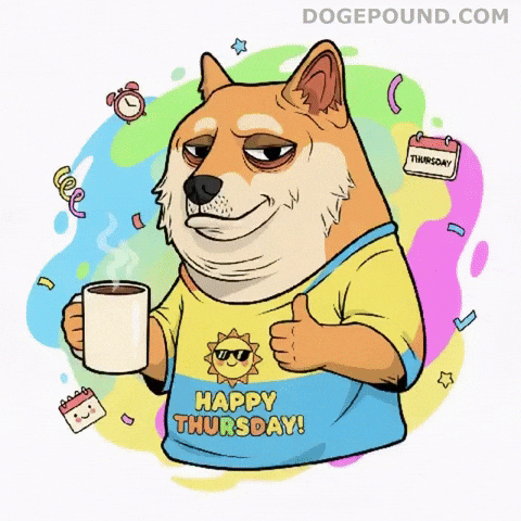 Good Morning Thumbs Up GIF by Doge Pound