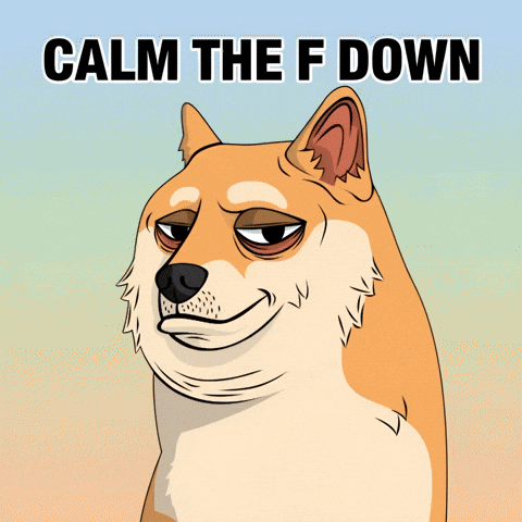 Calm Down Shiba Inu GIF by Doge Pound