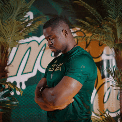 South Florida Horns Up GIF by USF Athletics