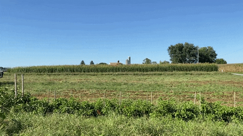 chadiromanos giphygifmaker GIF