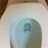 toilet GIF