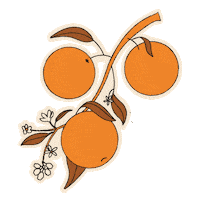 Orange Blossom Sticker by The Salty Greek