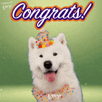 Congrats Congratulations GIF