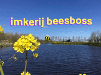 imkerijBeesboss bij beekeeping imker beesboss GIF