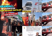 Rte Chp GIF