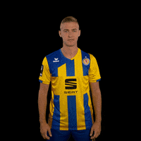 Eintracht Braunschweig Zeigtsuns GIF by 3Liga