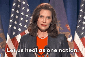 Gretchen Whitmer 2020 Dnc GIF by Election 2020