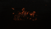 Fallout GIF by Amazon Prime Video