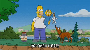 homer simpson dog GIF
