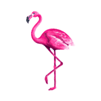 Էվոկաբանկ Sticker by Evocabank