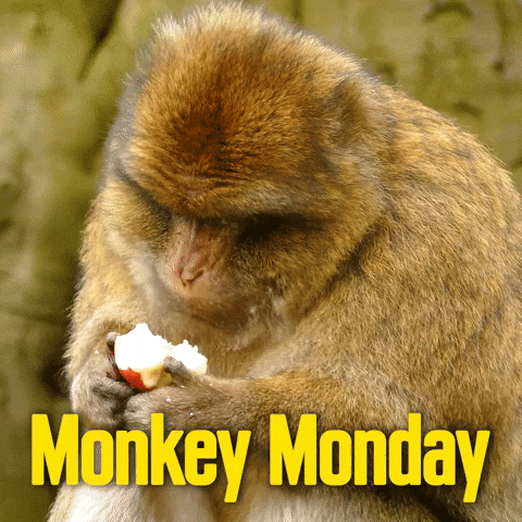 You Got This Monday Morning GIF by Sealed With A GIF