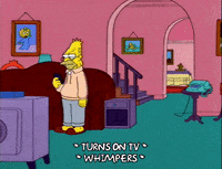 homer simpson GIF