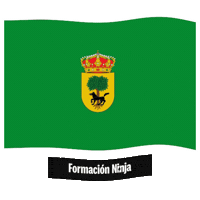 Castilla Y Leon Flag Sticker by Formación Ninja