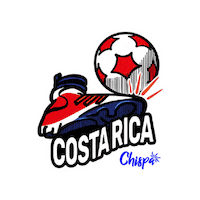 Vamos Lets Go Sticker by Chispa App