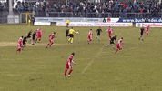 goal f95 GIF by Fortuna Düsseldorf