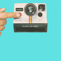 art vintage GIF by TaylorAnneDraws