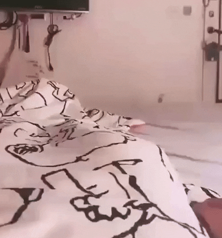 xcbcvccxscxcv giphyupload GIF