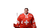 Celebrate Womens National Team Sticker by Swiss Ice Hockey