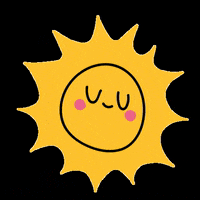 pdvargentina pdvargentina GIF