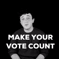 Vote Make GIF by Sam Pomerantz
