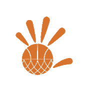 Coach K Basketball Sticker by 2sport4life