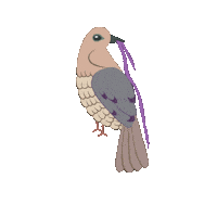 Winter Dove Sticker by GreenHouse17