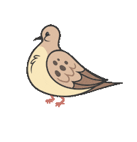 Mourning Dove Bird Sticker by Kyra