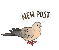 Mourning Dove New Post Sticker