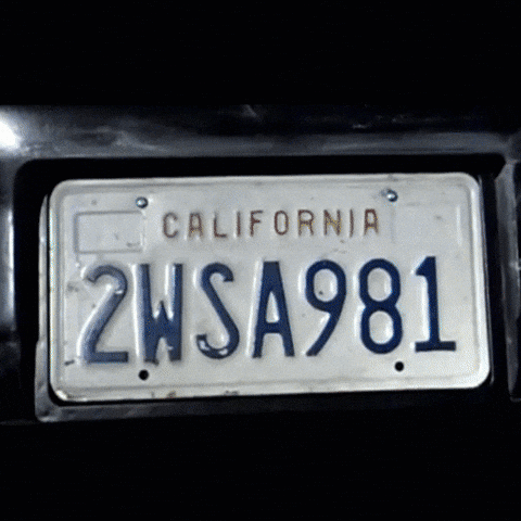 MotoAventuras giphyupload giphycreatortest flip plate GIF