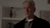 Jethro Gibbs Ellie Bishop GIF by CBS