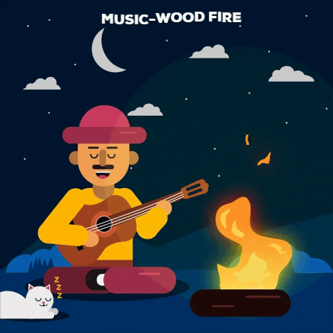 diegofernandosanchez music night wood fire GIF