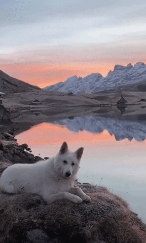 ehdgus1211 giphyupload GIF