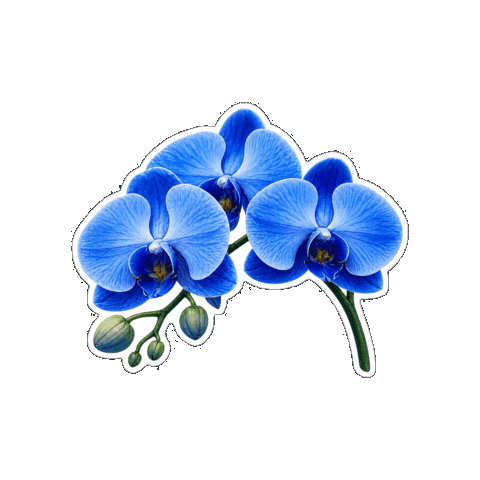 Beauty Flower Sticker by Fresa Creativa