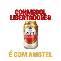 Conmebol Libertadores Soccer Sticker by Amstel Brasil