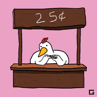 Chicken Hen GIF by gifnews