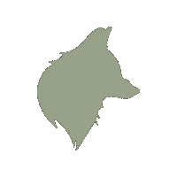 LaLouveandPartners lalouve lalouveandpartners loup vert tete de loup Sticker