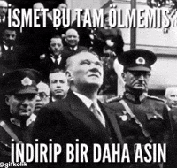 Gifkolik GIF